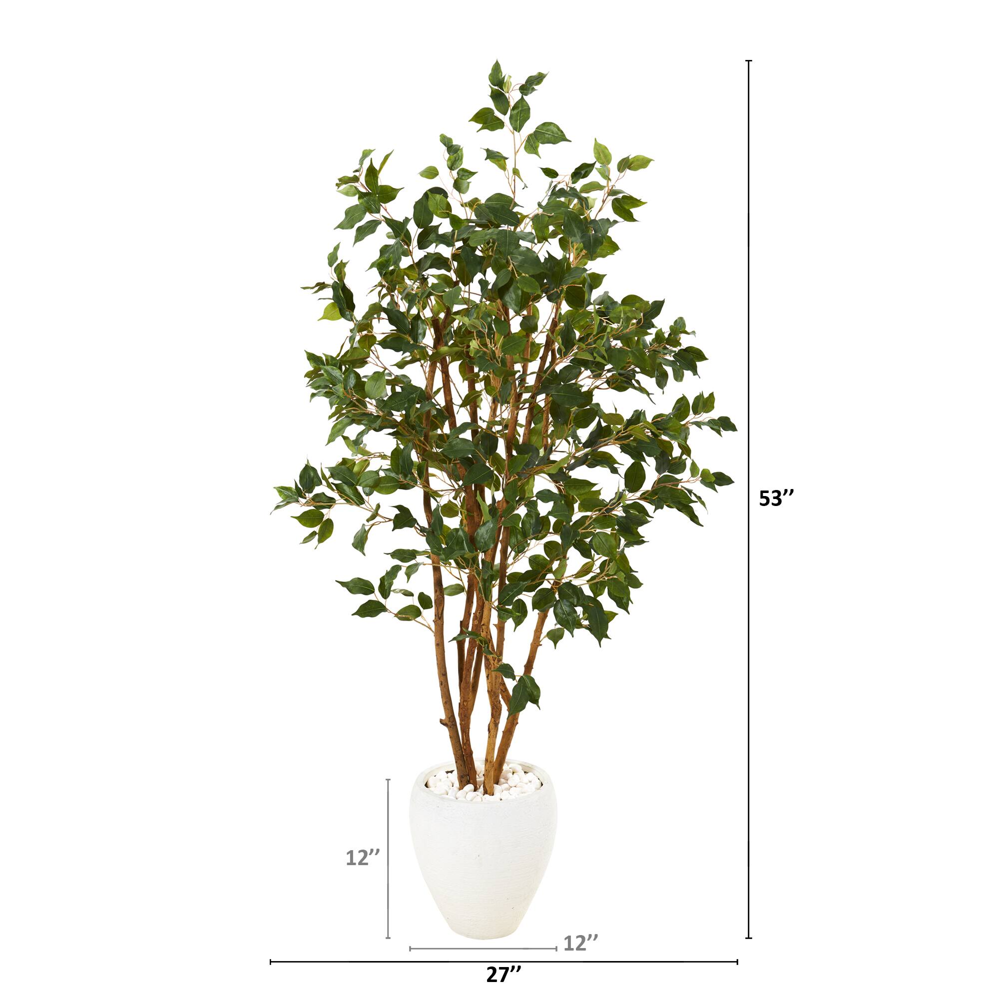 4.5ft. Ficus Tree in White Planter